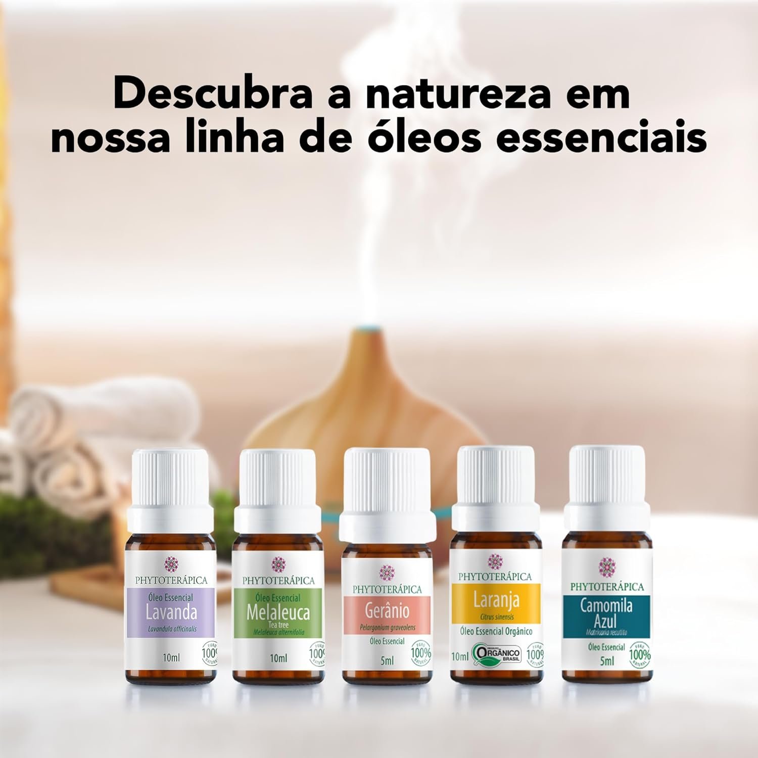 PHYTOTERAPICA - Óleo Essencial de Cravo - Para Difusor, Massagem e Aromaterapia - Revitalizante, revigora a memória e contribui na beleza das unhas - 100% Puro e Natural - Penetrante, 10ml 5 PHYTOTERAPICA - Óleo Essencial de Cravo - Para Difusor, Massagem e Aromaterapia - Revitalizante, revigora a memória e contribui na beleza das unhas - 100% Puro e Natural - Penetrante, 10ml - Imagem 5