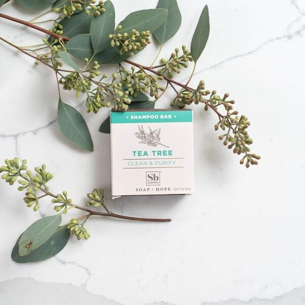 Soapbox Tea Tree Shampoo Bar, Natural, Eco Friendly Bar Shampoo for Dry Scalp | Color Safe, Sulfate Free, Paraben Free, Silicone Free, Cruelty Free, and Vegan Shampoo, 3.1oz (Pack of 1) - Imagem 9