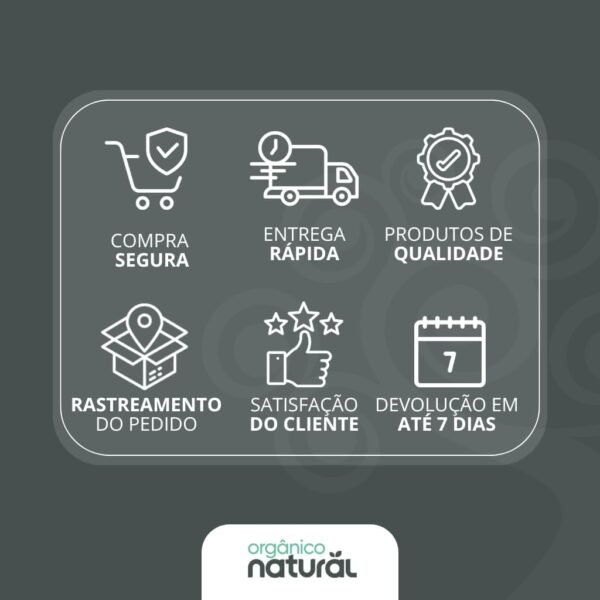 NATURAL Loção Hidratante com Óleo de Coco, CBA e Extrato de Romã - Hidratação Profunda e Intensa - Todos os Tipos de Pele - Vegano - 195g - Imagem 3
