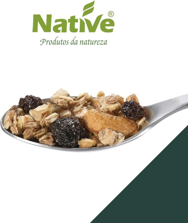 Granola Tradicional Orgânica Native 250g - Imagem 5