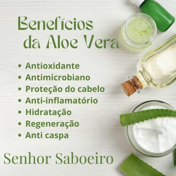 Kit Shampoo e Condicionador Pitanga Natural Hidratante Capilar Antiqueda Anti Caspa Crescimento e Nutrição Brilho Maciez - Imagem 4