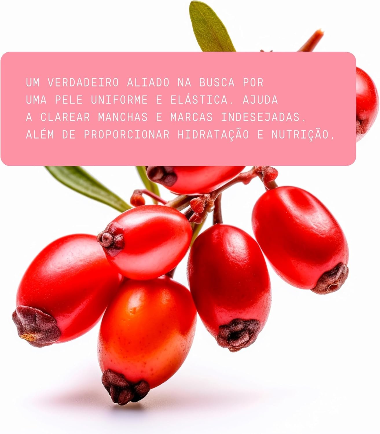 Óleo de Rosa Mosqueta Pura - Clareador, Hidratante e Antioxidante - Para Manchas, Rugas, Estrias e Melhor Elasticidade - Uso Facial, Oleo Corporal e Cabelos - 100% Puro Natural Vegano - 30 mL Beauts 3 Óleo de Rosa Mosqueta Pura - Clareador, Hidratante e Antioxidante - Para Manchas, Rugas, Estrias e Melhor Elasticidade - Uso Facial, Oleo Corporal e Cabelos - 100% Puro Natural Vegano - 30 mL Beauts - Imagem 3