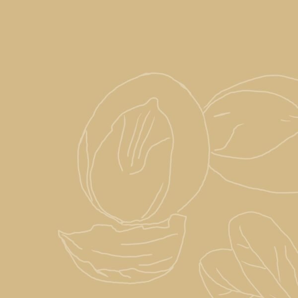 SheaMoisture Máscara Capilar de Manteiga de Karité Orgânica, 326g, Hidratação Intensiva - Imagem 10