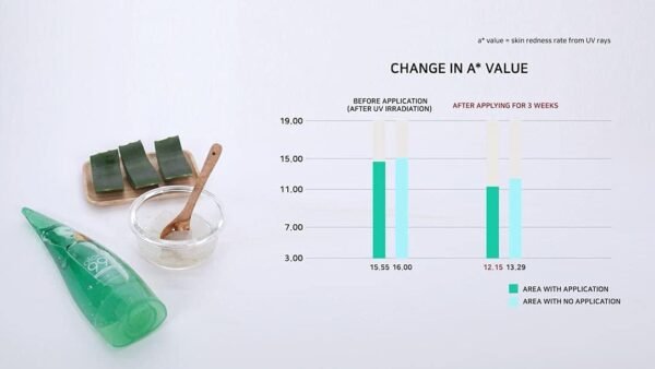 HOLIKA HOLIKA Holika Holika Gel Calmante 99% Aloe, 8,5 Onças - Imagem 3