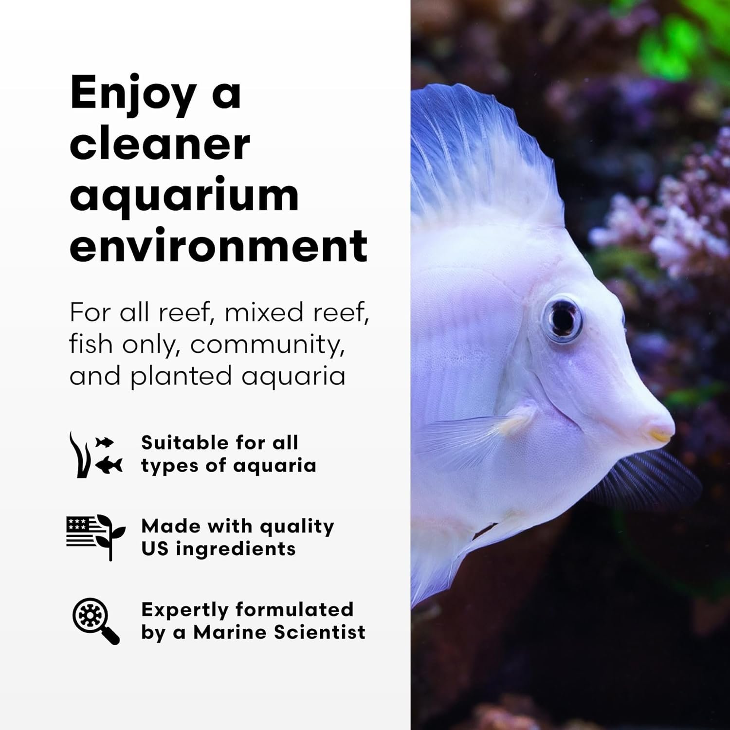 Brightwell Aquatics Purit – Meio de filtragem química para aquários marinhos e de água doce, 500 ml 3 Brightwell Aquatics Purit – Meio de filtragem química para aquários marinhos e de água doce, 500 ml - Imagem 3