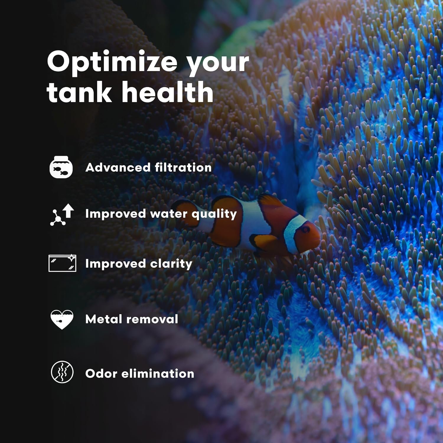 Brightwell Aquatics Purit – Meio de filtragem química para aquários marinhos e de água doce, 500 ml 4 Brightwell Aquatics Purit – Meio de filtragem química para aquários marinhos e de água doce, 500 ml - Imagem 4