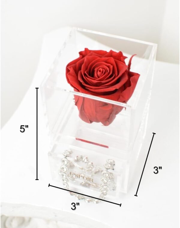 Espoir Boston Rosa preservada em caixa de joias de acrílico de luxo com gaveta - presente elegante para mulheres, aniversário, dia dos namorados e ocasiões especiais (vermelho) - Imagem 3