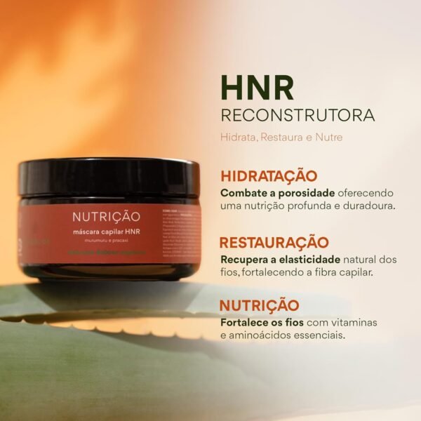 AHOALOE Máscara Capilar HNR Reconstrutora - Hidratação, Nutrição e Reconstrução - Babosa, MuruMuru e Pracaxi - Restauração para Cabelos Ressecados e Danificados - 250g - Imagem 2