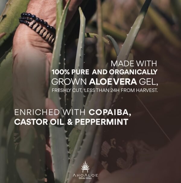 AhoAloe - Ethnic Ethics Ahoaloe Pacote Com 3 Gel De Aloe Vera Brasileiro - Gel Natural Hidratante Multiuso Com Copaíba, Óleo De Rícino E Hortelã Fresca, Natural Para Rosto, Pele E Cabelo - Cuidado P - Imagem 2