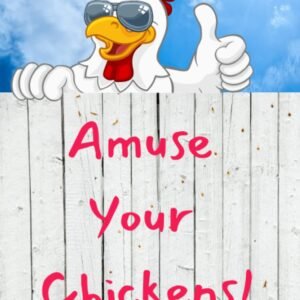 Amuse Your Chickens