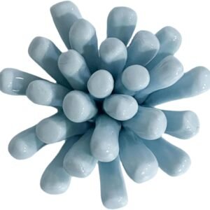 Bi-Sonic Lee Haworthia cooperi VAR. Pilifera, escultura de arte de parede de flor de cerâmica de 7 cm, planta artificial, decoração de parede 3D, decoração de casa moderna, decoração de parede floral