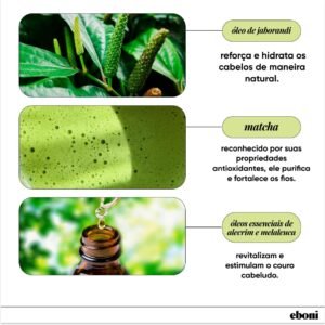Eboni Shampoo Sólido de Matcha | Desentoxicante Para Todos os Tipos de Cabelos | Natural, Vegano e Cruelty Free | Liberado No Poo e Low Poo | 80g