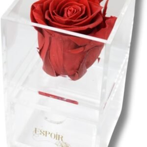 Espoir Boston Rosa preservada em caixa de joias de acrílico de luxo com gaveta - presente elegante para mulheres, aniversário, dia dos namorados e ocasiões especiais (vermelho)