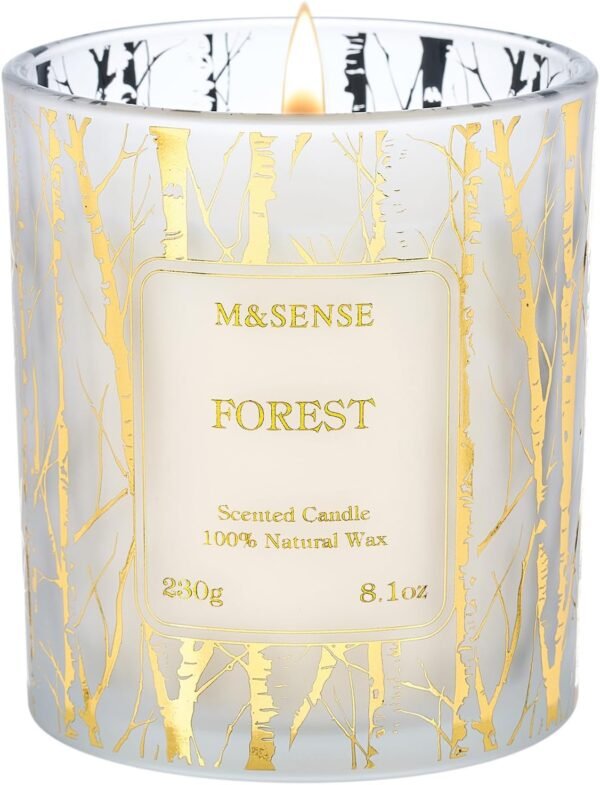 M&SENSE Velas de soja veganas perfumadas de floresta, 221 g, 42 horas, tempo de queima lenta, sem toxina, velas perfumadas naturalmente, para aromaterapia e aromaterapia, fragrância calmante para casa