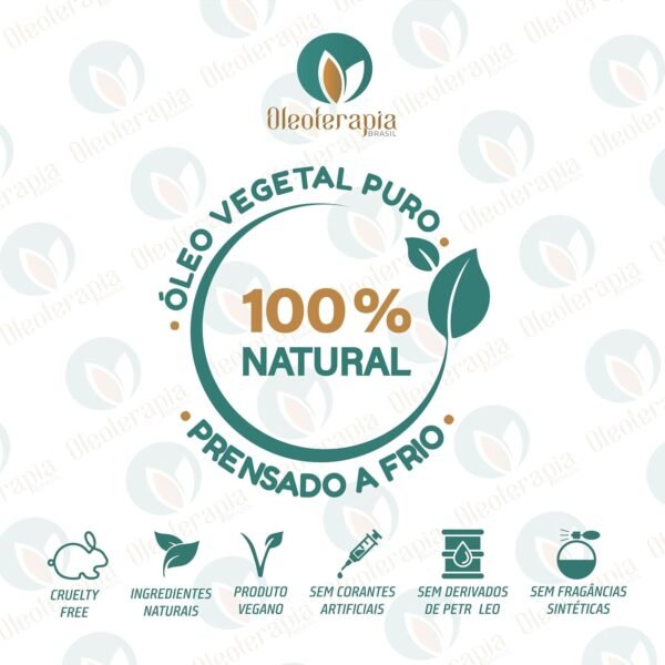 Óleo Vegetal de Mamona (Rícino) 100% Natural Prensado a Frio/uso Cosmético e Terapêutico (100 mL) - Oleoterapia Brasil - Imagem 2