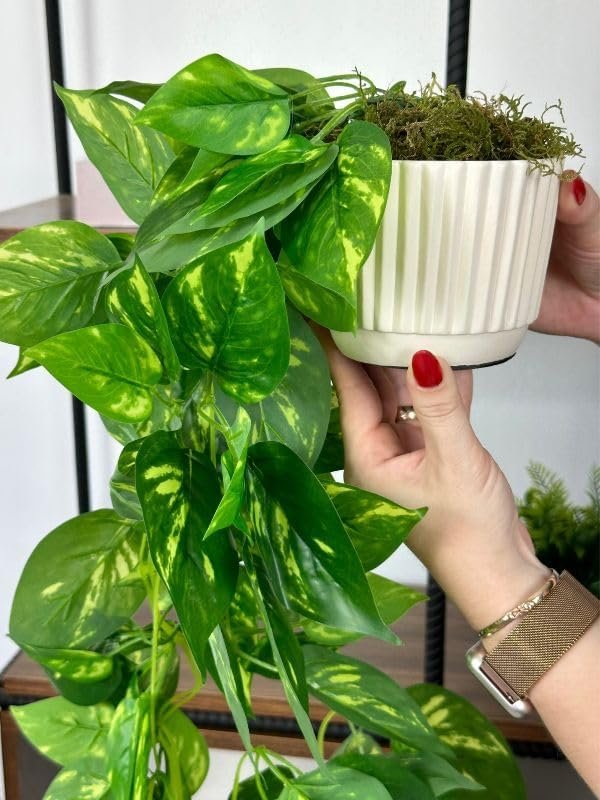 Pendente Artificial Jiboia Verde/Creme 100cm com Vaso Offwhite 1 Pendente Artificial Jiboia Verde/Creme 100cm com Vaso Offwhite