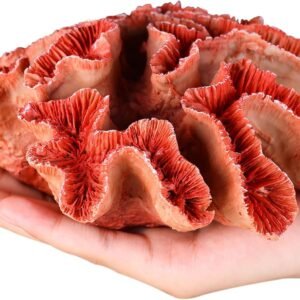oliruim Escultura de decoração de recife de coral laranja, tema costeiro de coral sintético, decoração de casa, banheiro, sala de estar, escritório, mesa, decoração de quarto com tema de praia